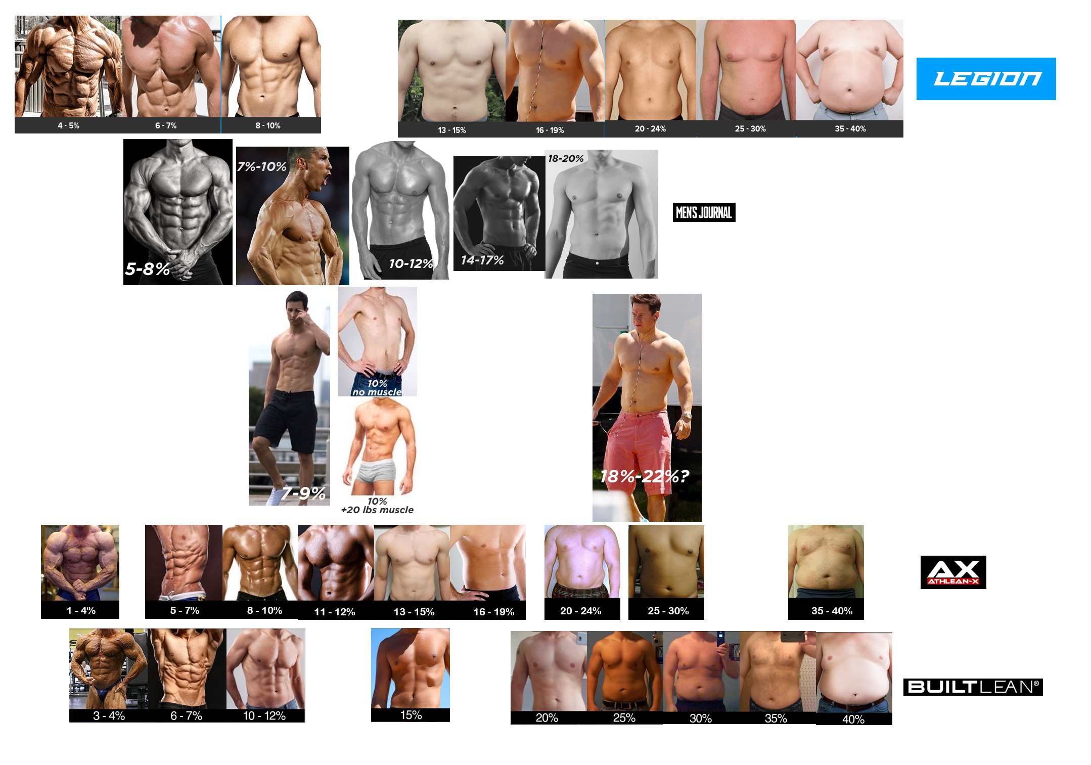 Examples of male body fat percentage